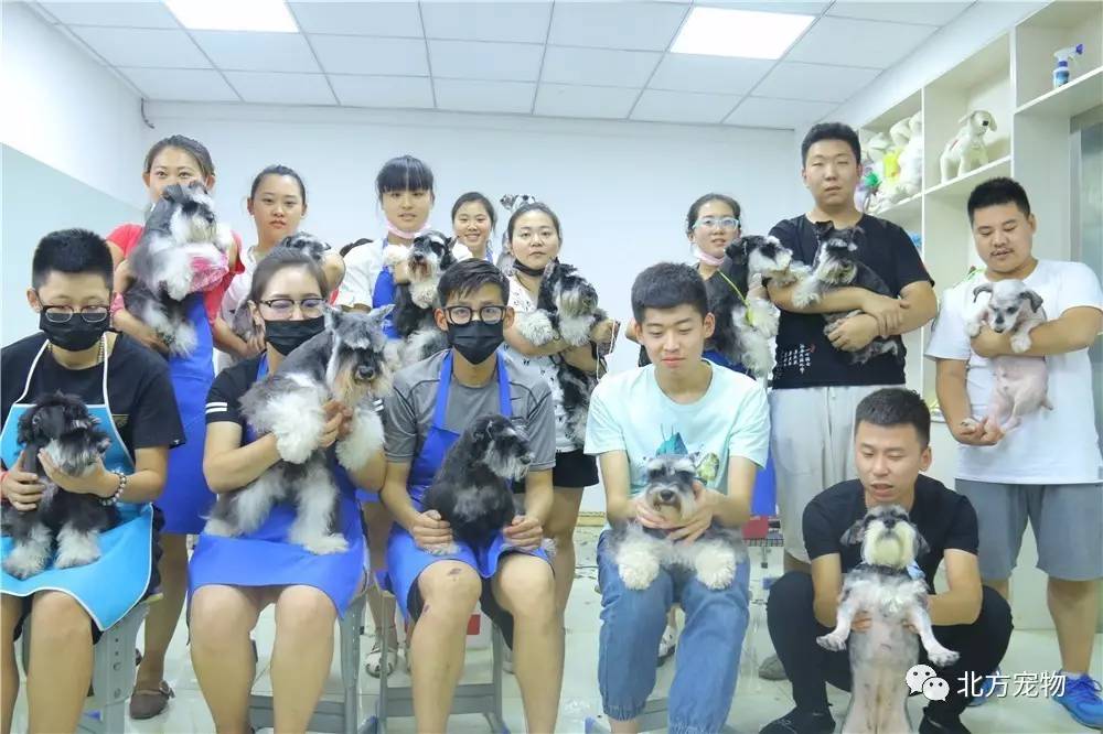 男同acg 角色关系和唯美氛围