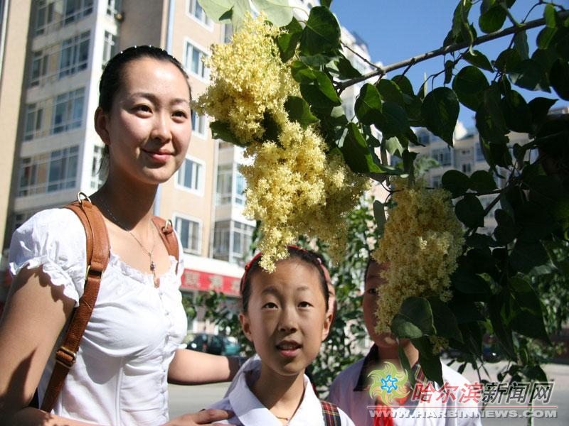 隔壁邻居的姐姐 那位电梯里的隔壁精致姐姐