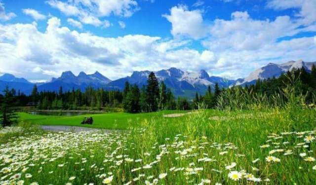 国产精品99无码一区二区