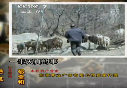 想反抗 我注意到你提到了“反抗”