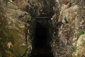 午夜成年奭片免费观看