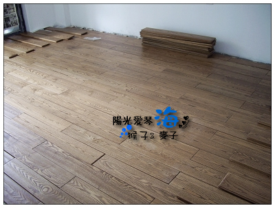 mina的电影 活跃于日剧和电影中