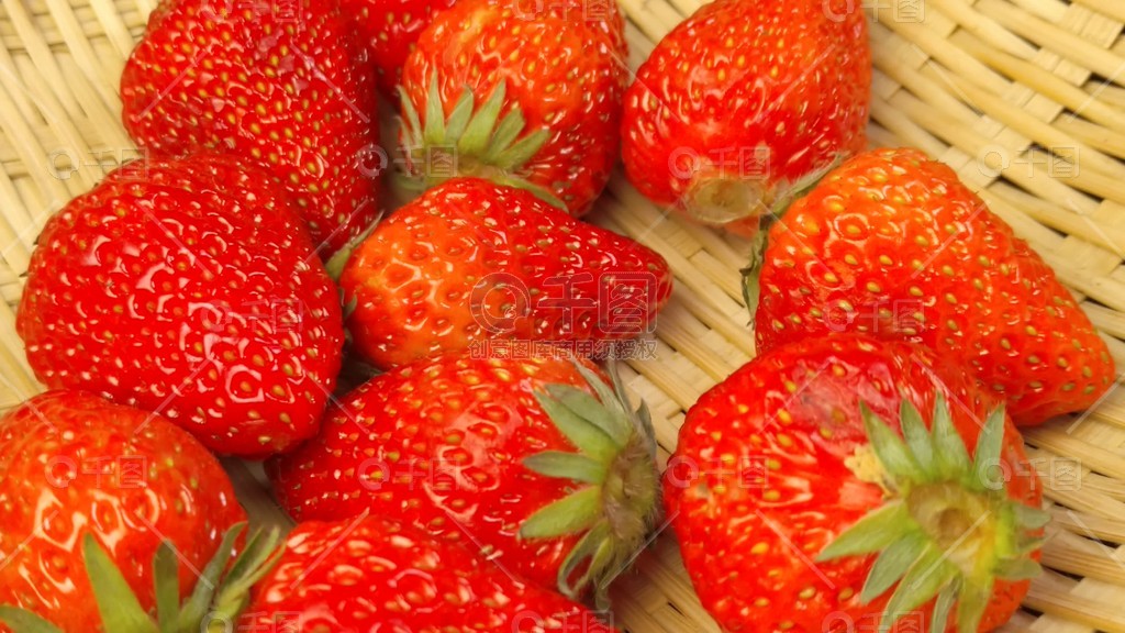 每日大赛官网,每日大赛官网主页入口 准确性与更新的及时性