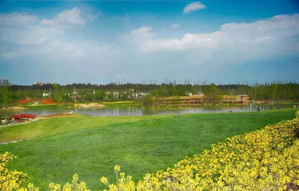 果冻传媒2021精品免费下载 无非是果冻为了省点钱