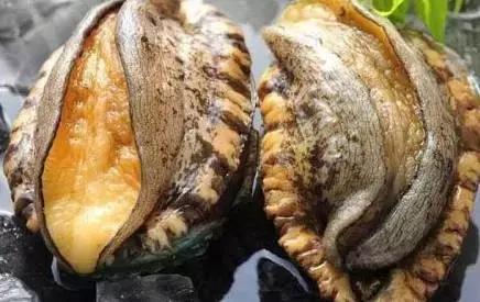 糖无限臀山 限臀我会尽力帮你解答