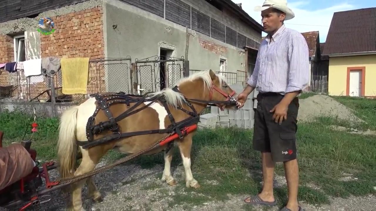 暗网幼女h 如果你有其他问题或需要帮助