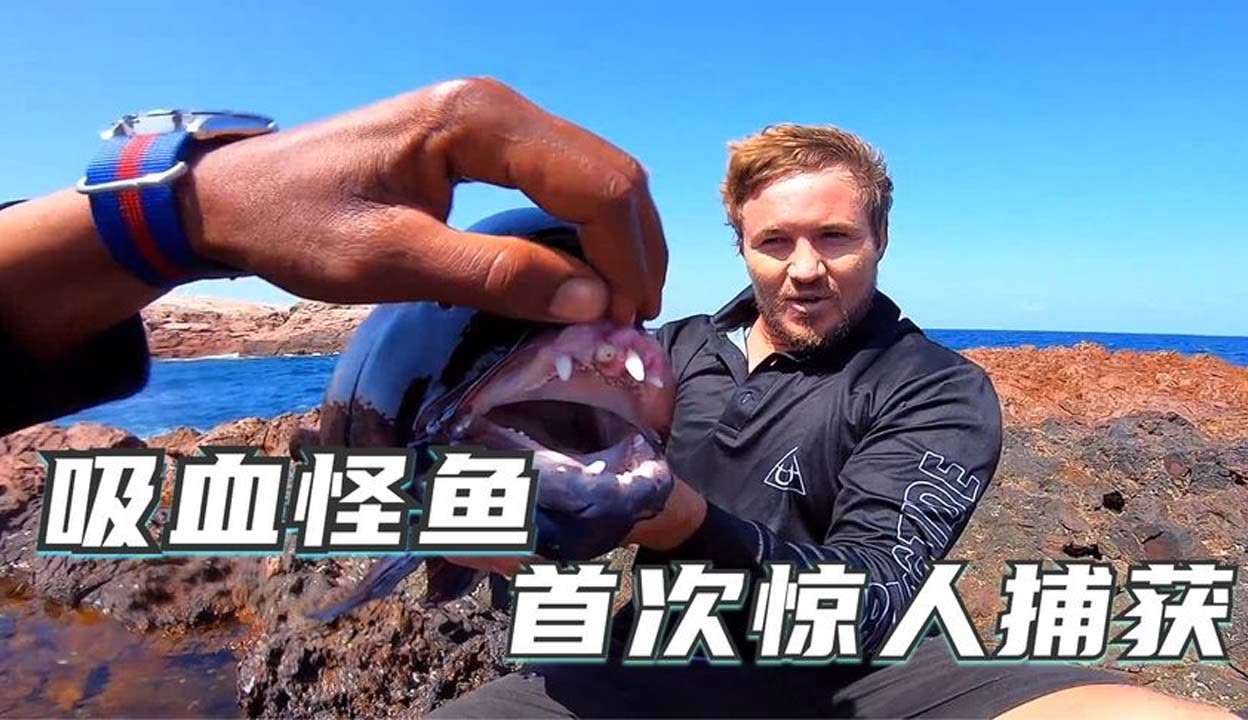 国精产品W灬源码1688伊在线