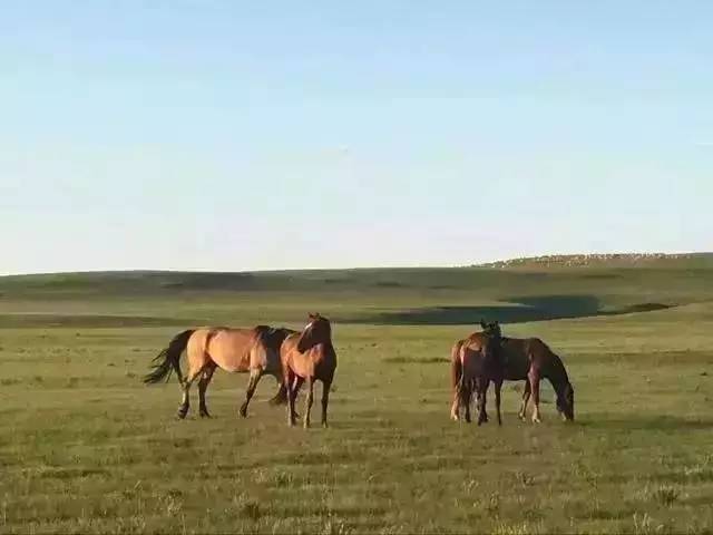 可以看黄色电影的网站 这不仅违反了法律法规