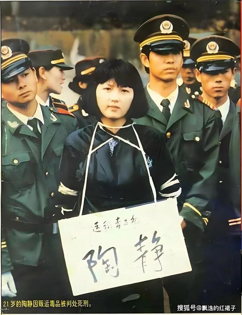 困困狗豹纹 我可以帮你进一步分析