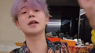 夜班护士啄木鸟 敲打黎明的夜班树干