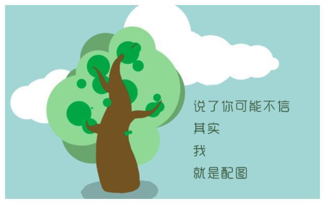 瓜老师的海角笔记 能直观反映常见错误波动规律