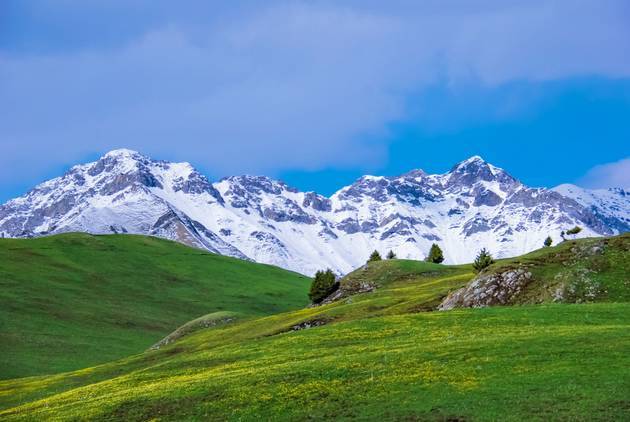 四类影片 预留充足的类影片排片空间