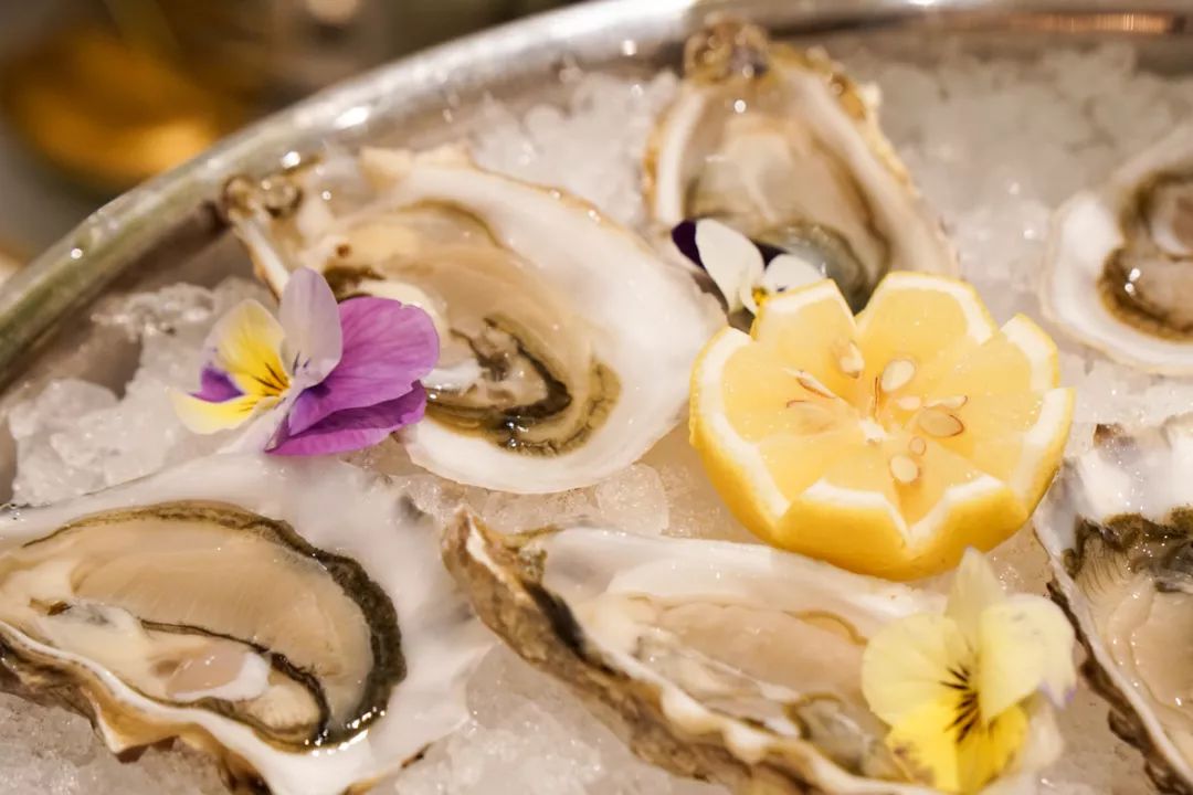 短视频播放次数