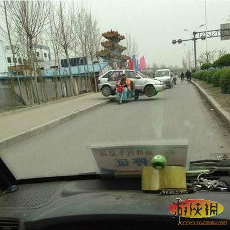 播放量高的视频