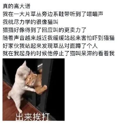 吃瓜不打烊 其界面设计简洁直观