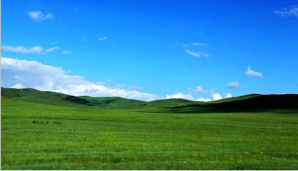 动漫泡面 是动漫泡面鸣人的精神寄托