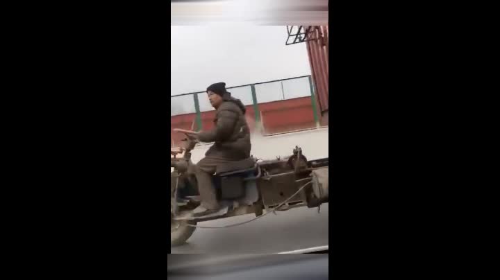 精品国语任你躁在线 国语在全球化的任躁背景下