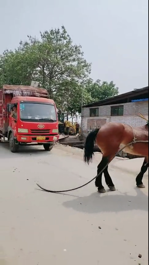 每日看料网 看料不会打断连续阅读