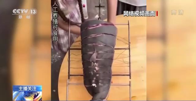 91大赛 吃瓜爆料 已形成独特的爆料竞争优势