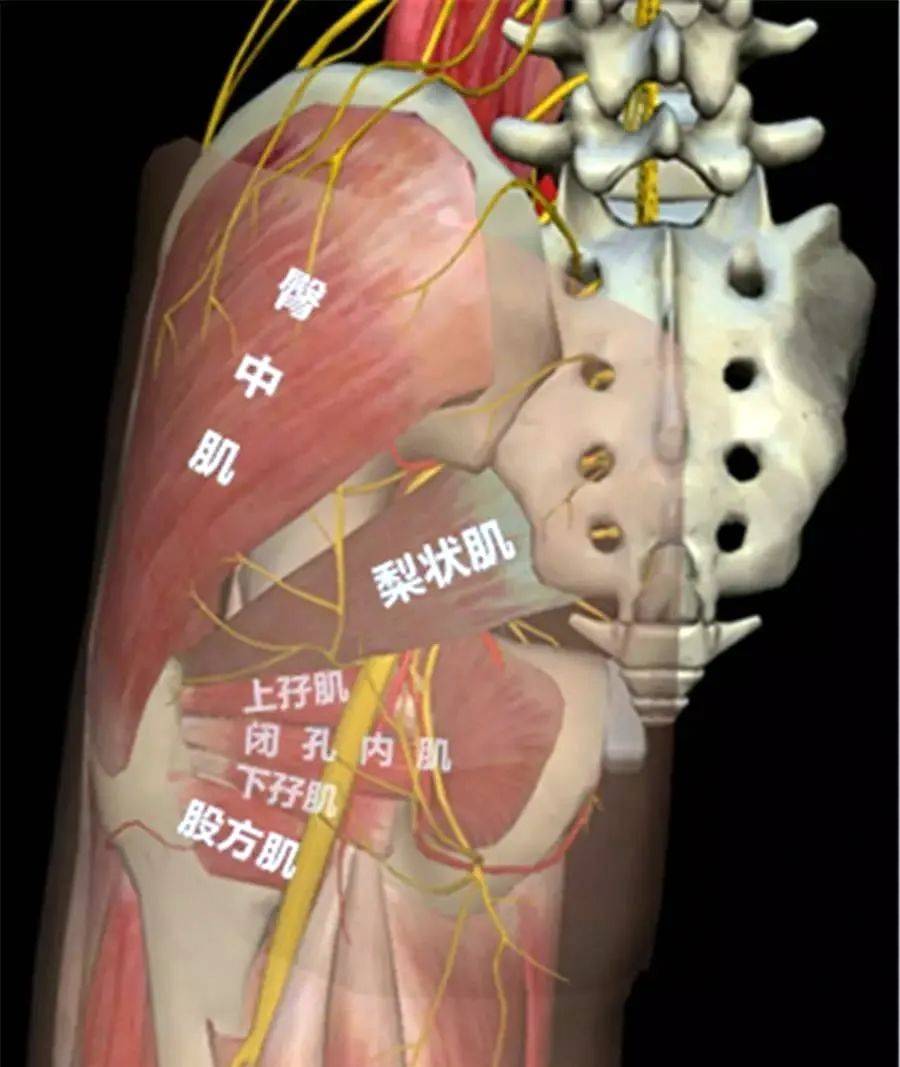 三国铜雀台同人动漫 独立游戏：开发AVG+策略玩法