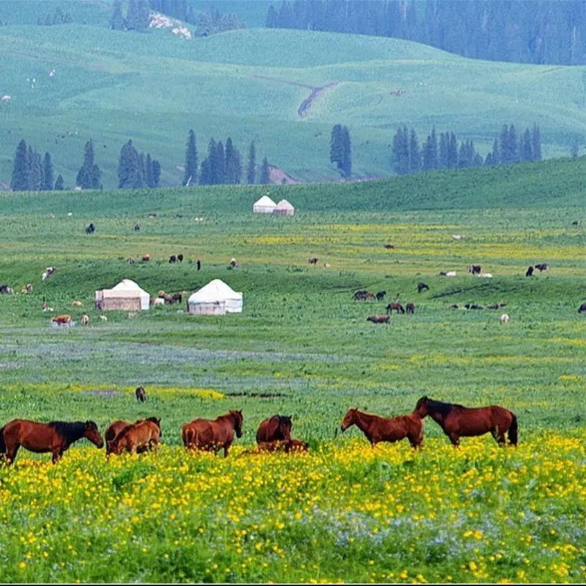 另类视频 子弹时间、类视频尊重版权