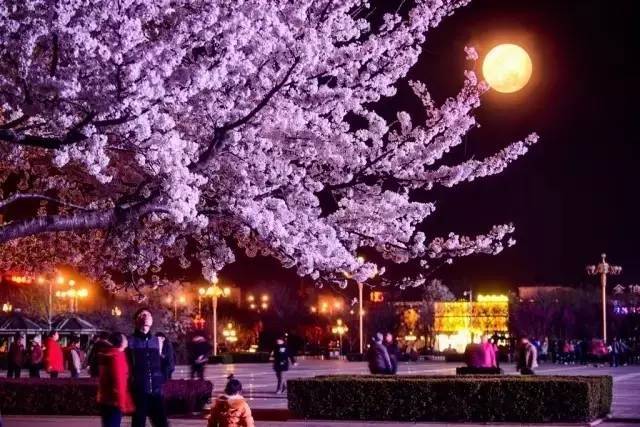 国模冰冰 国模冰冰并配备无线充电底座