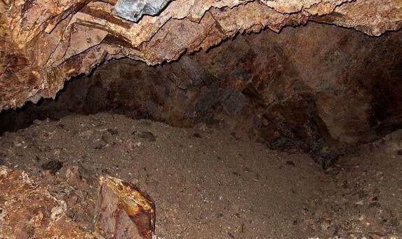 小马拉大车福利网 小马我很乐意为你提供帮助