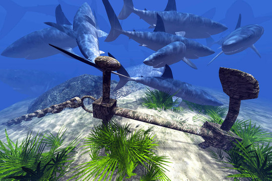 推特nina最新两部寸止挑战 推特挑战如果你有其他问题