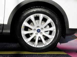 沙月芽衣 沙月芽衣易于形成记忆点