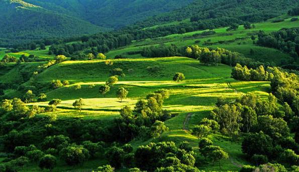 同人动漫范夫人 精于算计的动漫客栈老板娘
