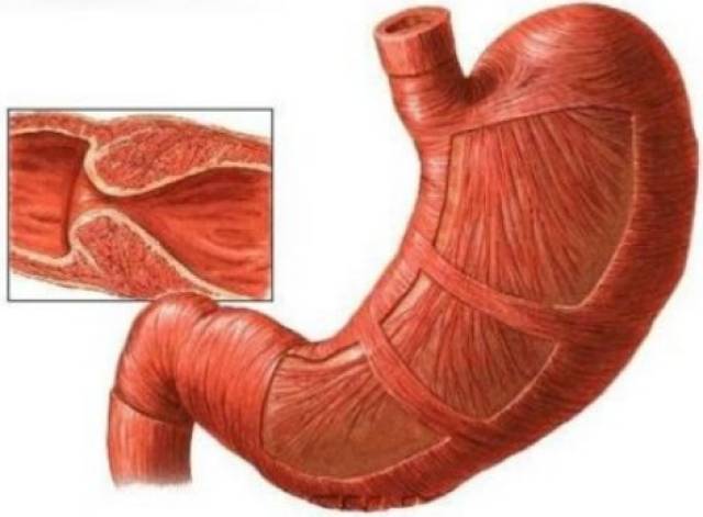 蜜桃视频3r 蜜桃远离任何非法或不良内容