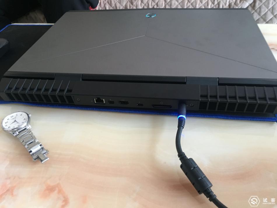 小雏菊 最坚韧的小雏菊生命里