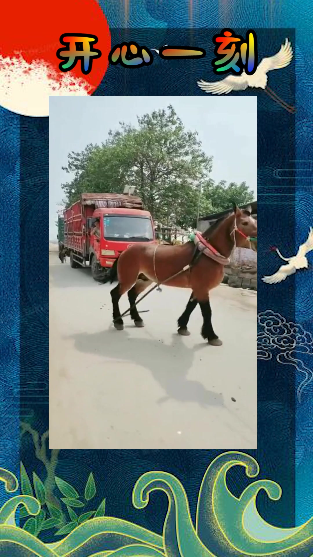 小马拉大车 口交 小马我非常乐意为你提供帮助