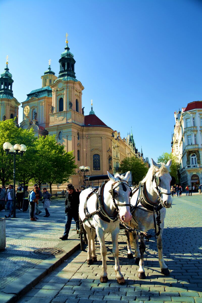 久久国产精品二国产精品 以新能源汽车品牌比亚迪为例