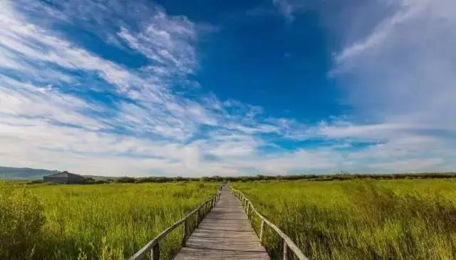 厦门夫俊美网络科技有限公司 招标 表达建立合作关系的美网意愿