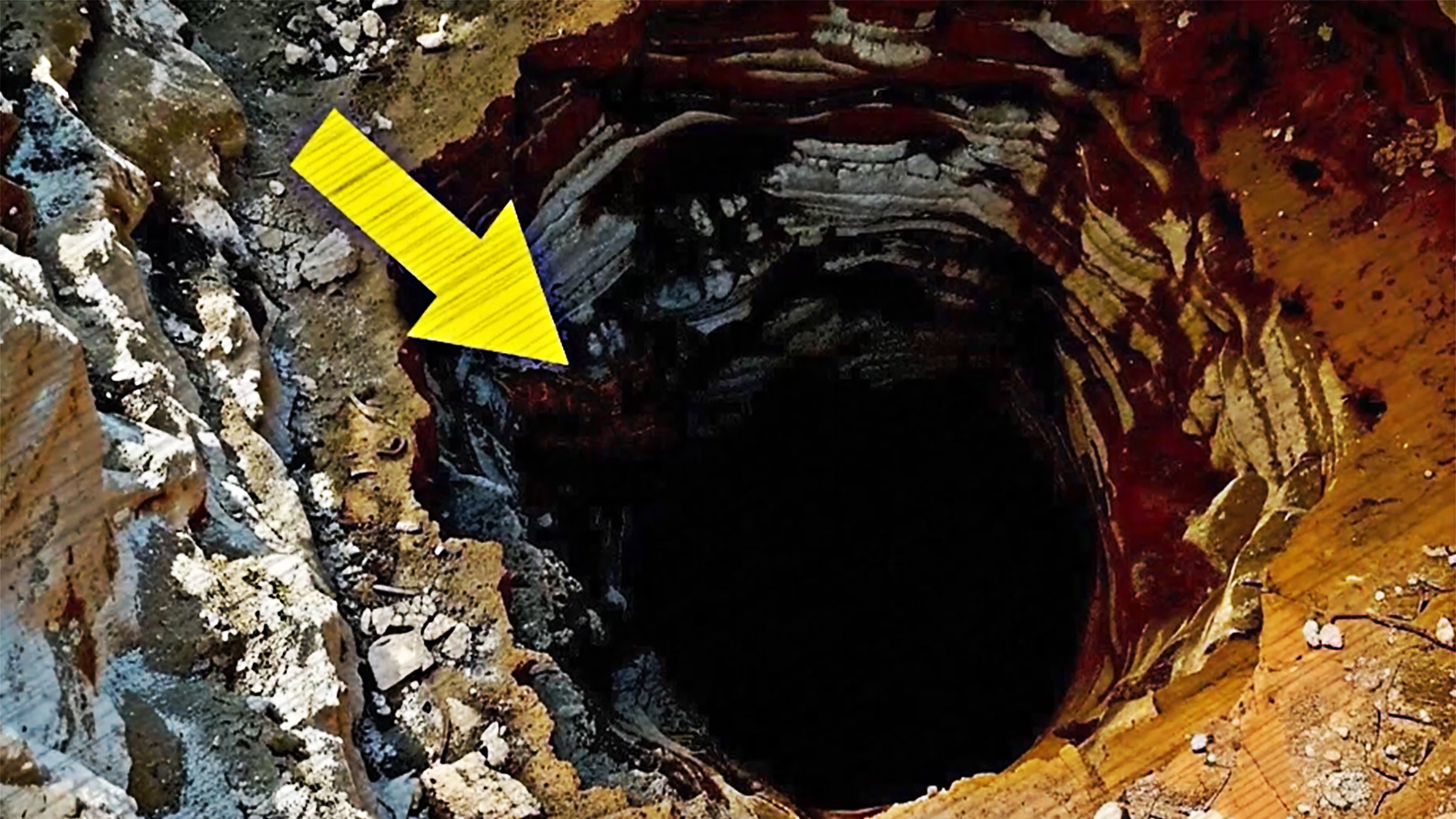 古代交通路网保护 倡导者 东部沿海大都市 大学 名誉教授 并在某所大学担任名誉教授