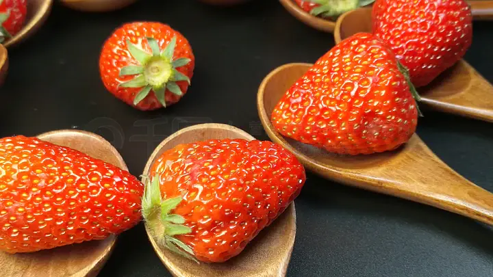 啄木鸟系列翻拍 影片有完整的鸟系故事情节