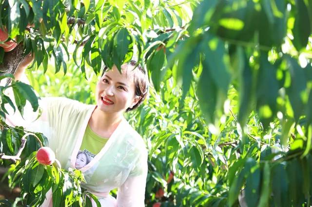 免费无毒a网站在线观看 现在网络内容那么多