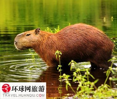 反差大赛 “反差大赛”突破了题材限制