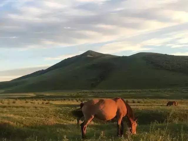 3d同人剧情 人剧希望能激发你的人剧灵感