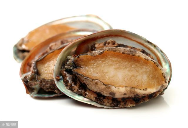 四虎1515永久免费 社区里还会有独家资源发布