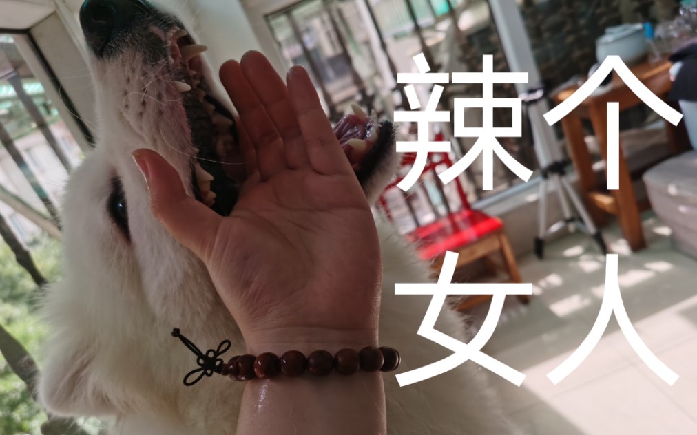 啄木鸟吉利安·詹森