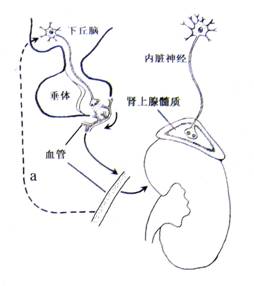 国外男同视频 对于您提到的国外内容
