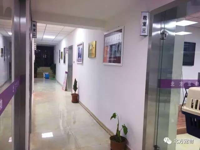 久久er在热线精品首页