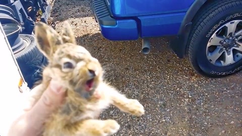 约德尔人同人动漫