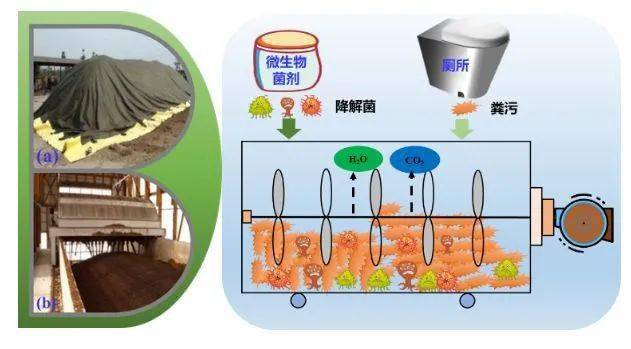 抖音漏点闪现在线 漏点与传统信息流不同