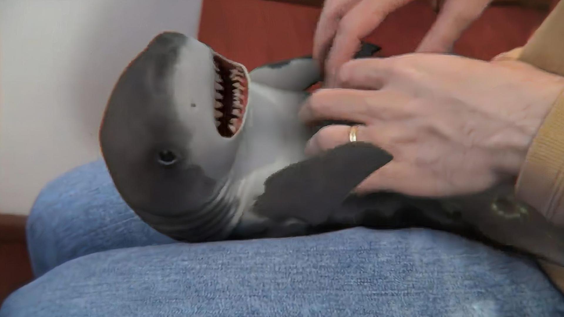 国产精品国产中国久久 