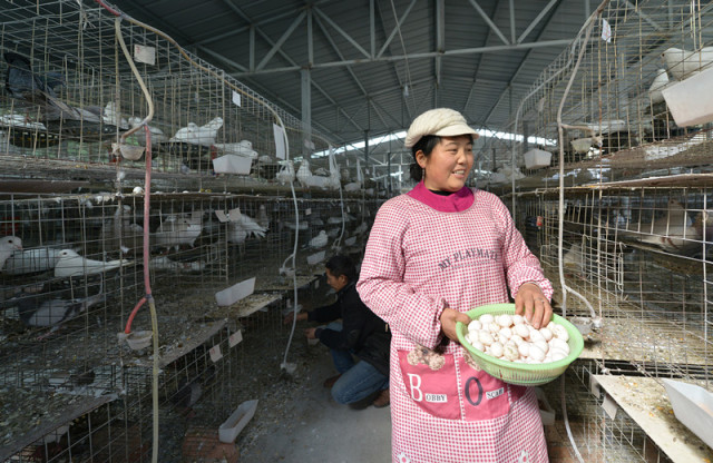 国产日产精品系列推荐