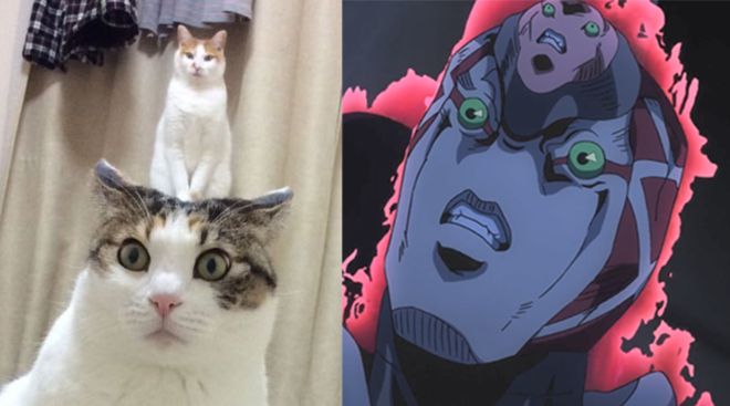 国产精品国产三级国产专区53 国产国产最后一句话