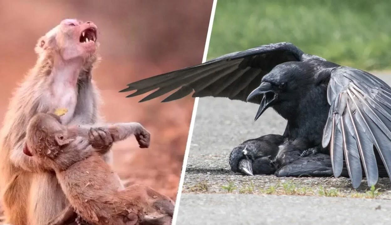 www黄色一片 过滤响应速度令人满意